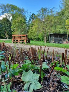 Waldorfkindergarten Ismaning Blick in den Hasengarten